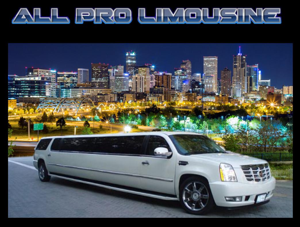 All Pro Limousine Denver - AYL Websites